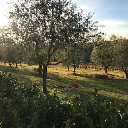 Il Villino Farmhouse Castellina in Chianti Εξωτερικό φωτογραφία