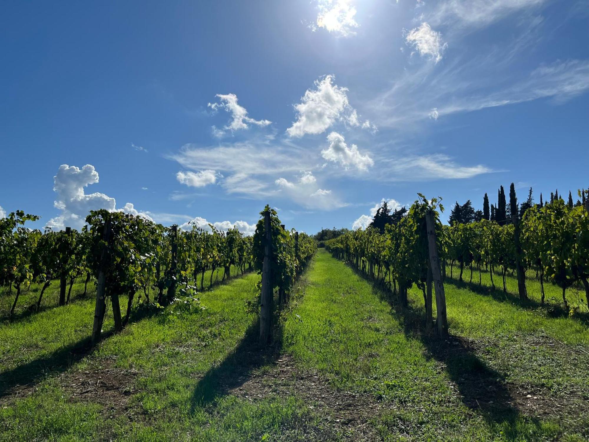 Il Villino Farmhouse Castellina in Chianti Εξωτερικό φωτογραφία