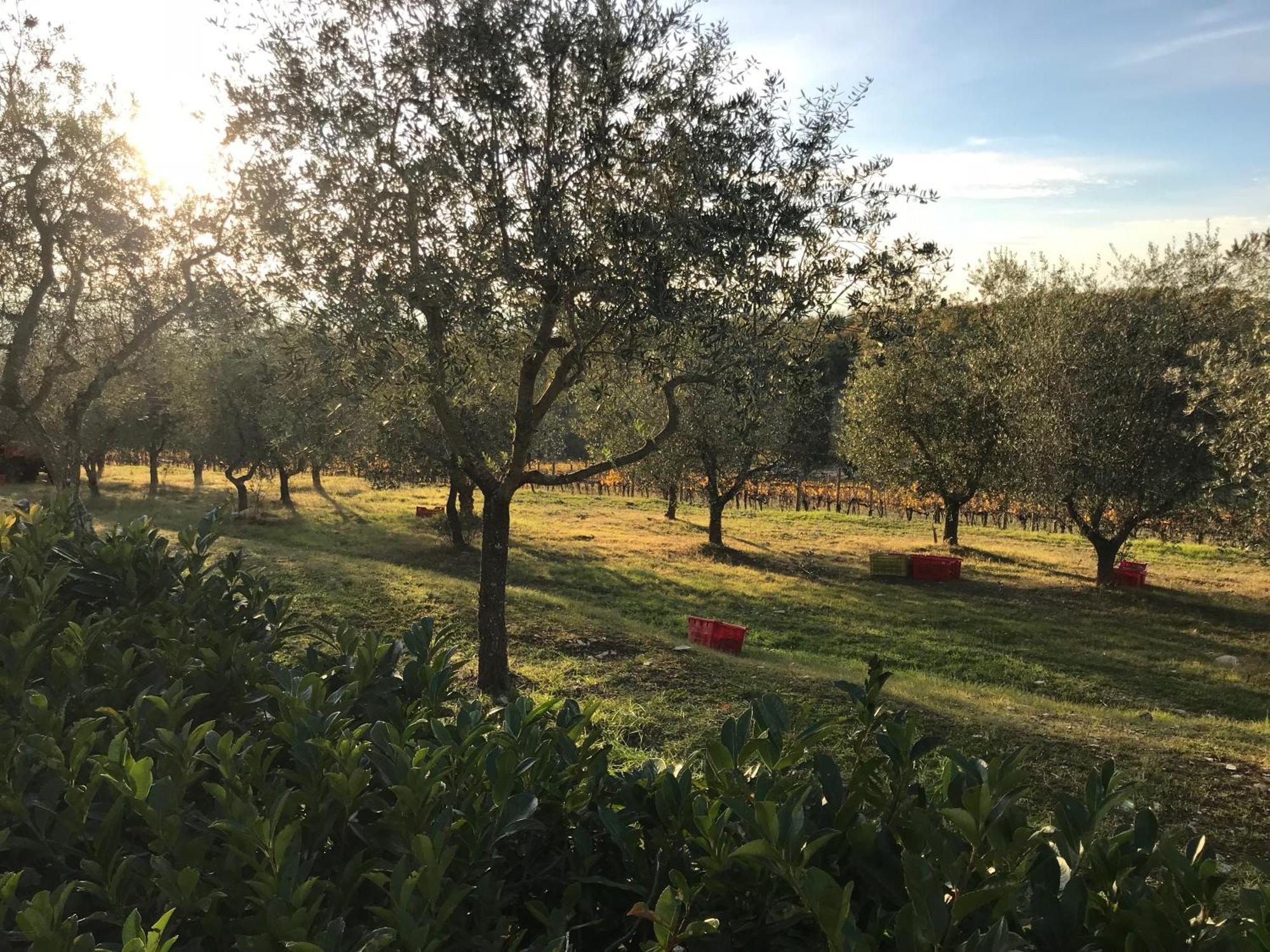 Il Villino Farmhouse Castellina in Chianti Εξωτερικό φωτογραφία